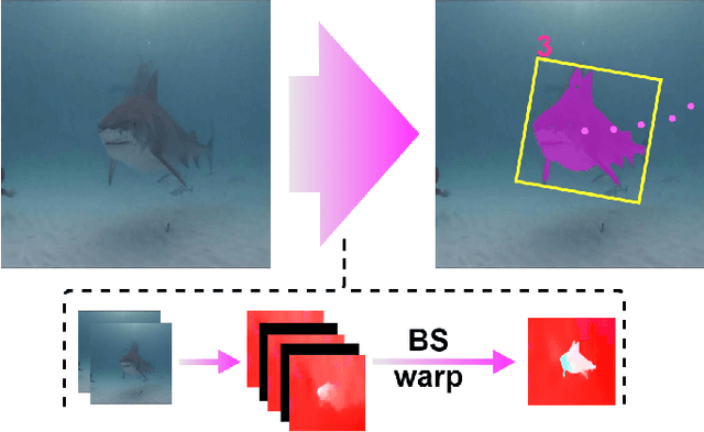 Figure 1 for Unsupervised Fish Trajectory Tracking and Segmentation