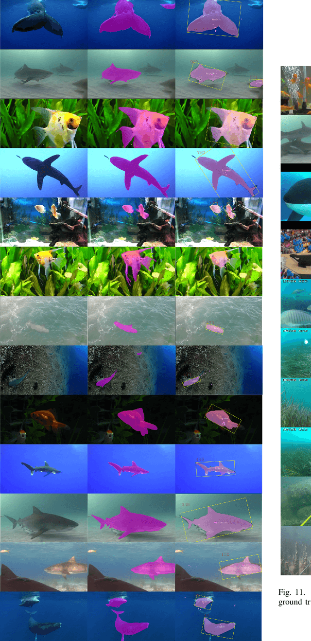 Figure 2 for Unsupervised Fish Trajectory Tracking and Segmentation