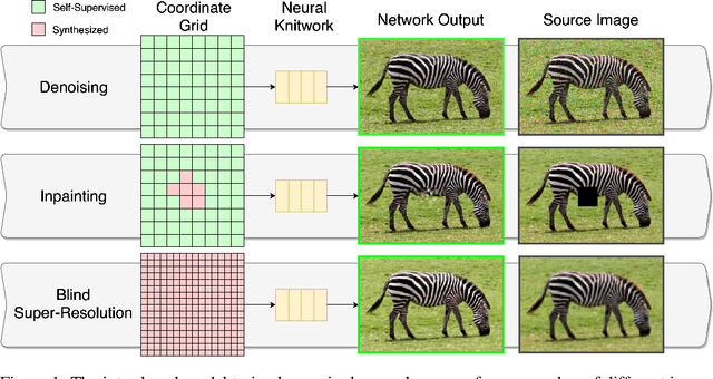 Figure 1 for Neural Knitworks: Patched Neural Implicit Representation Networks