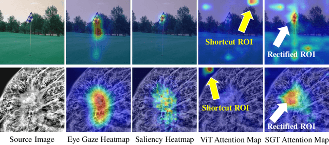 Figure 1 for Rectify ViT Shortcut Learning by Visual Saliency