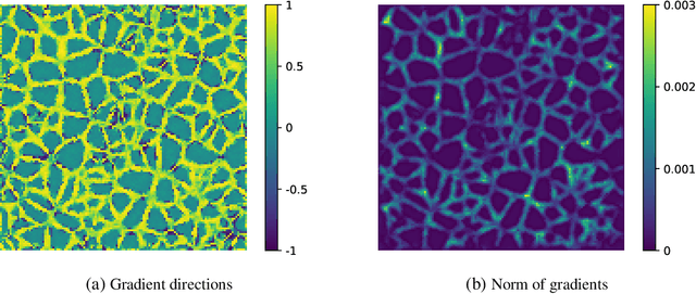 Figure 3 for Learning Linearized Assignment Flows for Image Labeling