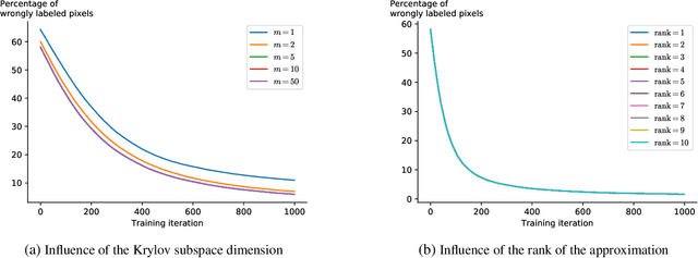 Figure 4 for Learning Linearized Assignment Flows for Image Labeling