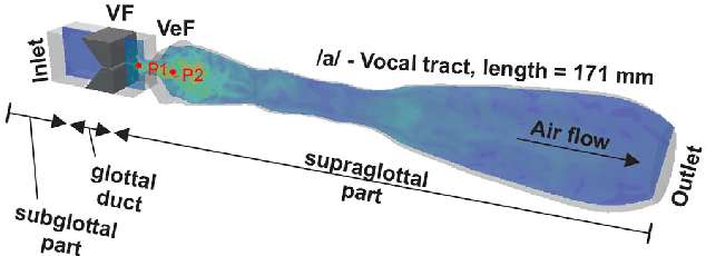 Figure 1 for Machine-learning applied to classify flow-induced sound parameters from simulated human voice