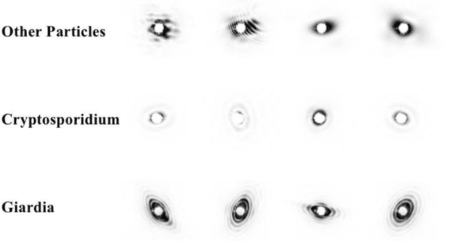 Figure 1 for Deep Learning Based Cell Parasites Detection