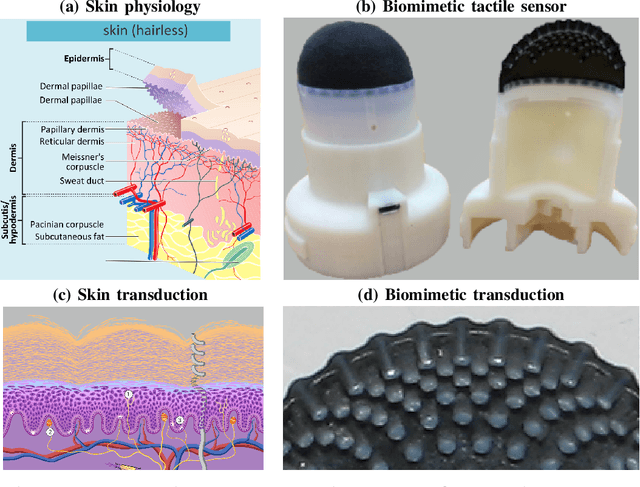 Figure 1 for Soft Biomimetic Optical Tactile Sensing with the TacTip: A Review