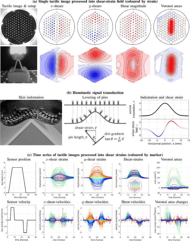Figure 2 for Soft Biomimetic Optical Tactile Sensing with the TacTip: A Review