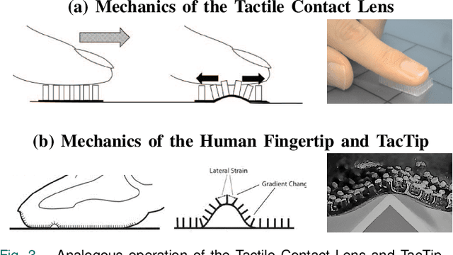 Figure 3 for Soft Biomimetic Optical Tactile Sensing with the TacTip: A Review
