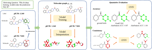 Figure 1 for Quantitative Evaluation of Explainable Graph Neural Networks for Molecular Property Prediction