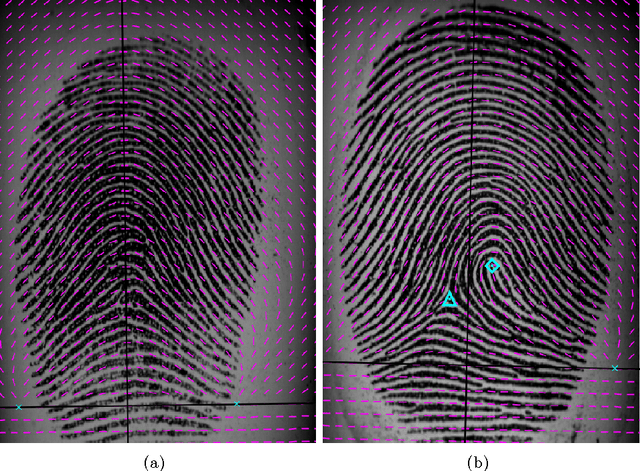 Figure 1 for Perfect Fingerprint Orientation Fields by Locally Adaptive Global Models