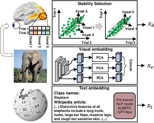 Figure 4 for Decoding Visual Neural Representations by Multimodal Learning of Brain-Visual-Linguistic Features