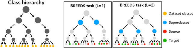 Figure 1 for BREEDS: Benchmarks for Subpopulation Shift