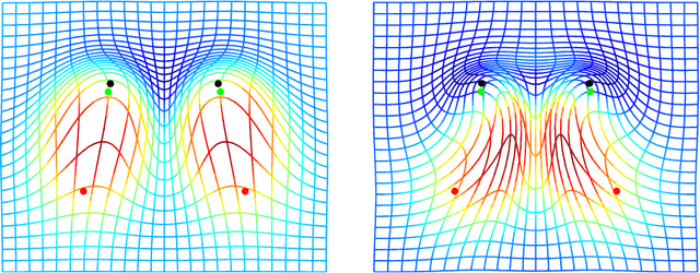 Figure 4 for Higher-Order Momentum Distributions and Locally Affine LDDMM Registration