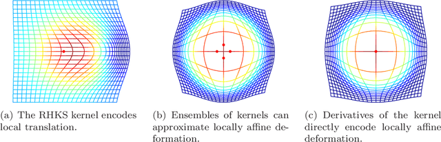 Figure 2 for Higher-Order Momentum Distributions and Locally Affine LDDMM Registration