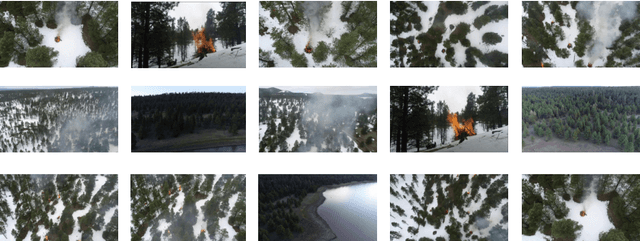 Figure 2 for Aerial Imagery Pile burn detection using Deep Learning: the FLAME dataset