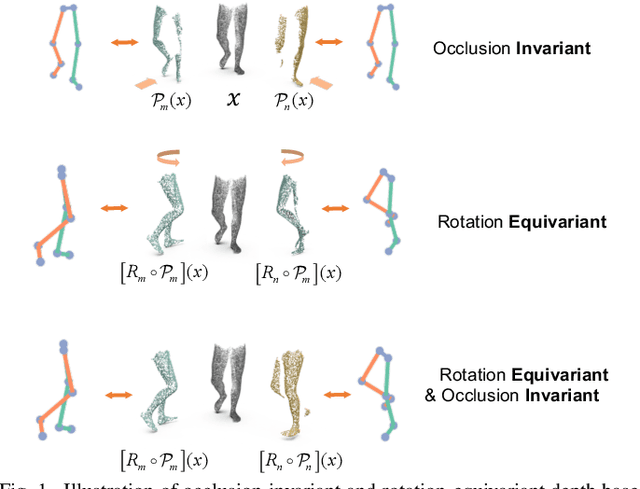 Figure 1 for Occlusion-Invariant Rotation-Equivariant Semi-Supervised Depth Based Cross-View Gait Pose Estimation