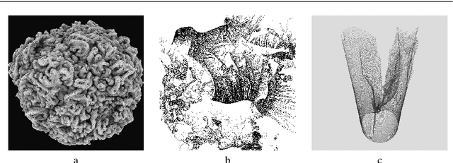 Figure 1 for Complexity and Aesthetics in Generative and Evolutionary Art