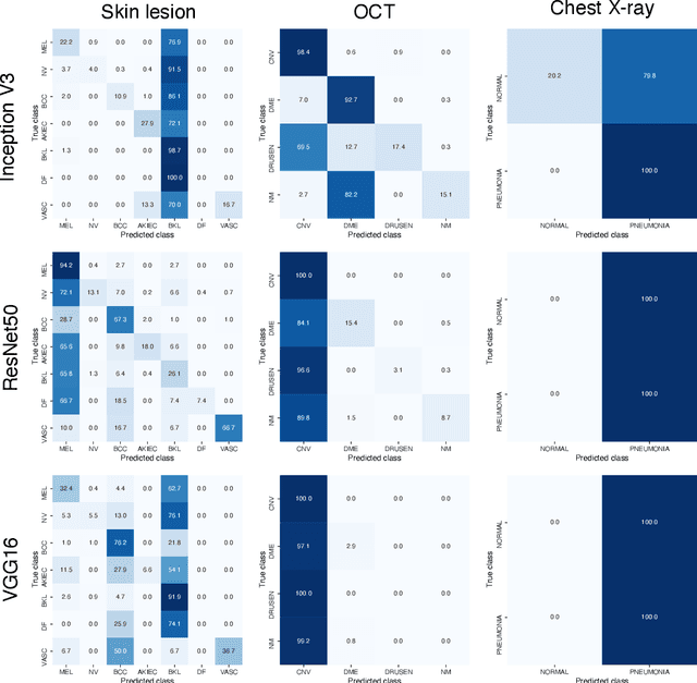 Figure 3 for Simple black-box universal adversarial attacks on medical image classification based on deep neural networks