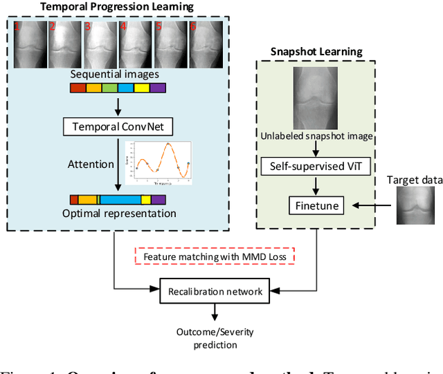 Figure 1 for Temporal Context Matters: Enhancing Single Image Prediction with Disease Progression Representations