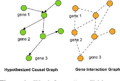 Figure 1 for Is graph biased feature selection of genes better than random?