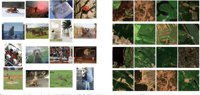 Figure 1 for BigEarthNet Dataset with A New Class-Nomenclature for Remote Sensing Image Understanding