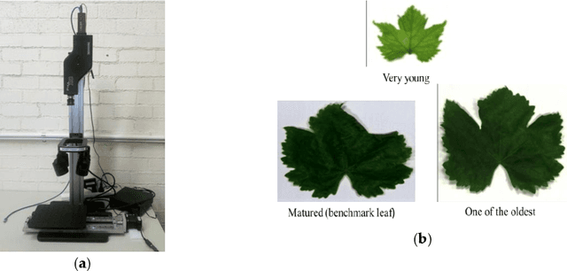 Figure 1 for Hyperspectral Imaging to detect Age, Defects and Individual Nutrient Deficiency in Grapevine Leaves