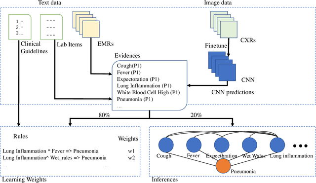 Figure 3 for MMLN: Leveraging Domain Knowledge for Multimodal Diagnosis