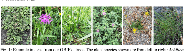 Figure 1 for Automatic Plant Cover Estimation with Convolutional Neural Networks