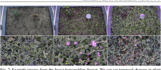 Figure 2 for Automatic Plant Cover Estimation with Convolutional Neural Networks