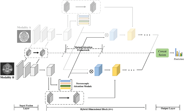 Figure 2 for Mutual Attention-based Hybrid Dimensional Network for Multimodal Imaging Computer-aided Diagnosis