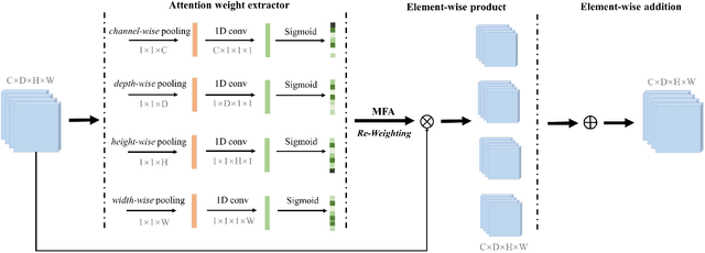 Figure 4 for Mutual Attention-based Hybrid Dimensional Network for Multimodal Imaging Computer-aided Diagnosis