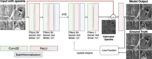 Figure 2 for A SAR speckle filter based on Residual Convolutional Neural Networks