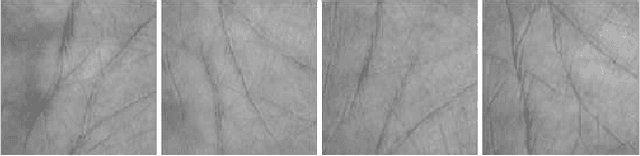 Figure 1 for Highly Accurate Multispectral Palmprint Recognition Using Statistical and Wavelet Features