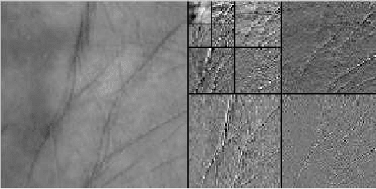 Figure 3 for Highly Accurate Multispectral Palmprint Recognition Using Statistical and Wavelet Features