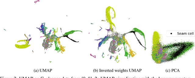 Figure 2 for UMAP does not reproduce high-dimensional similarities due to negative sampling