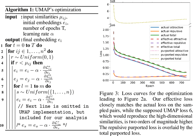 Figure 3 for UMAP does not reproduce high-dimensional similarities due to negative sampling