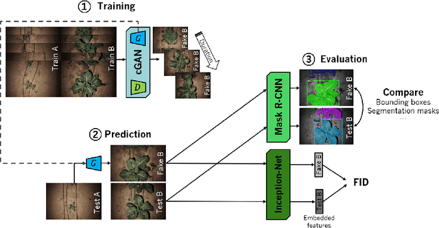 Figure 3 for Temporal Prediction and Evaluation of Brassica Growth in the Field using Conditional Generative Adversarial Networks