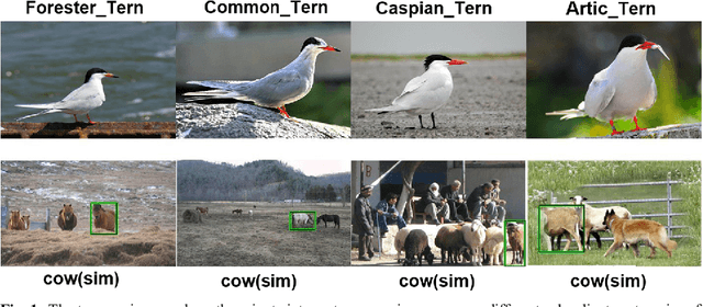 Figure 1 for Cascade one-vs-rest detection network for fine-grained recognition without part annotations