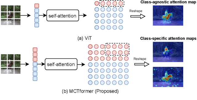 Figure 1 for Multi-class Token Transformer for Weakly Supervised Semantic Segmentation