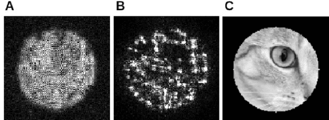 Figure 2 for A parameter refinement method for Ptychography based on Deep Learning concepts