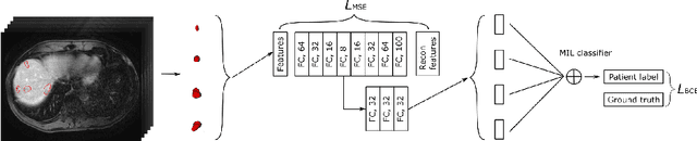 Figure 1 for AMINN: Autoencoder-based Multiple Instance Neural Network for Outcome Prediction of Multifocal Liver Metastases