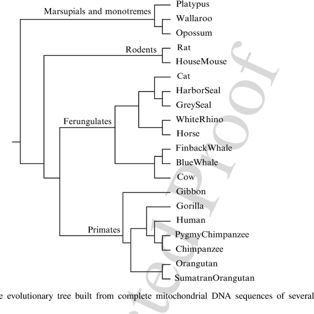 Figure 1 for Normalized Information Distance