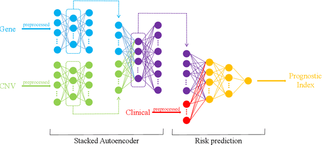 Figure 2 for Stacked Autoencoder Based Multi-Omics Data Integration for Cancer Survival Prediction
