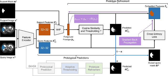 Figure 3 for Q-Net: Query-Informed Few-Shot Medical Image Segmentation