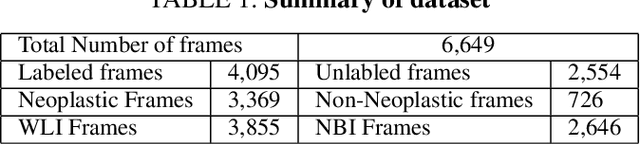 Figure 2 for Improving colonoscopy lesion classification using semi-supervised deep learning