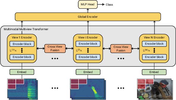 Figure 1 for M&M Mix: A Multimodal Multiview Transformer Ensemble