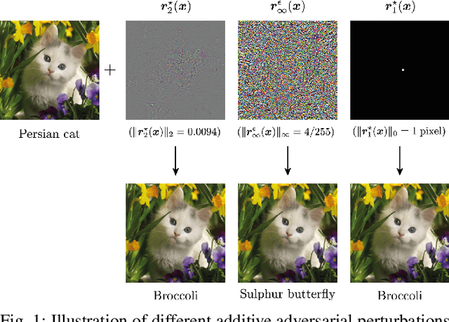 Figure 1 for Optimism in the Face of Adversity: Understanding and Improving Deep Learning through Adversarial Robustness