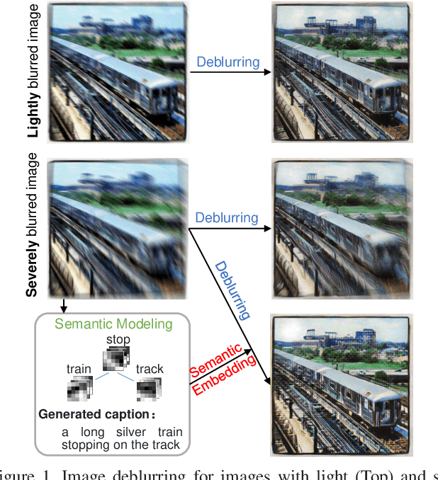 Figure 1 for Semantic-aware Image Deblurring