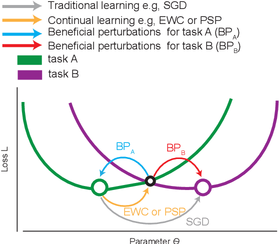 Figure 1 for Beneficial Perturbation Network for designing general adaptive artificial intelligence systems