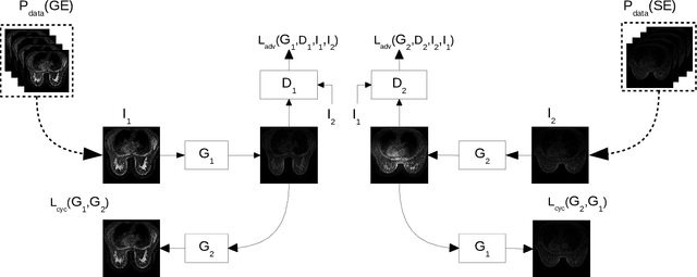 Figure 2 for Normalization of breast MRIs using Cycle-Consistent Generative Adversarial Networks