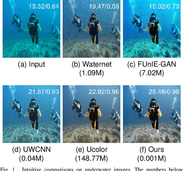 Figure 1 for USLN: A statistically guided lightweight network for underwater image enhancement via dual-statistic white balance and multi-color space stretch